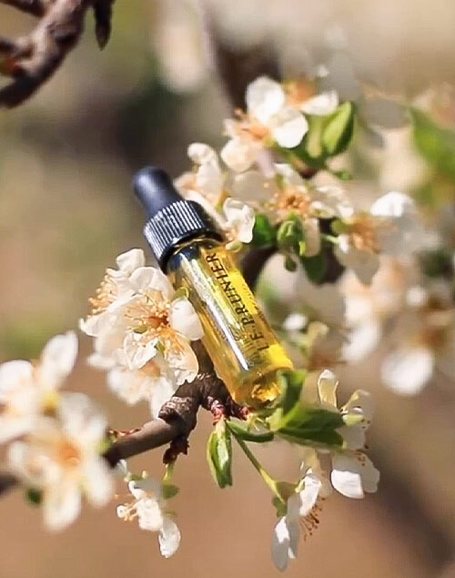 Le Prunier Plum Beauty Oil 3,7 ml