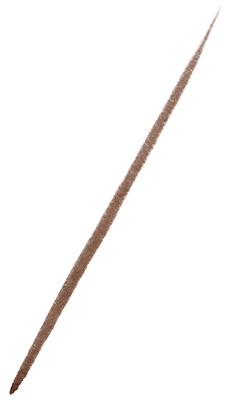 Image secondary
