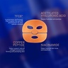 Augustinus Bader The Hydrogel Face Mask 1 Stück